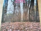 Twink - Think Pink - Pink Vinyl LP - Italy Reissue