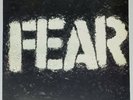 Fear - The Record LP 12
