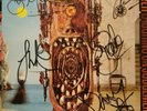 Thunder, Laughing On Judgement Day, Vinyl, 1992, EMD1035, Signed  Super Rare