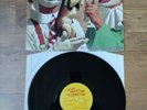 BUTTHOLE SURFERS - LOCUST ABORTION TECHNICIAN 1st Press Vinyl LP