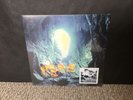 Storm In Heaven (Rermastered) by The Verve (2016) LP Vinyl “Made in Germany”