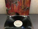 SLAYER 12' VINYL LP 