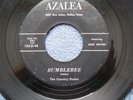 The Country Dudes...Bumblebee...Orig Rockabilly Rock 45 rpm 1959