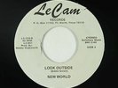 Psych Funk 45 - New World - Look Outside - Le Cam - VG+ mp3 - obscure