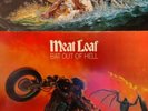 Meat Loaf vinyl Bundle 2 LP Bat out Of Hell - Dead Ringer For Love 2 great LP's.