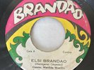 Cumbia ELSI BRANDAO Papi 45 MATILDE MURILLO Tipica  7