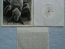 PRIVATE 45 The Anal Fleas Landlord EP SRT S82CUS1332 INSERT + SIGNED
