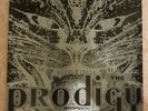 The Prodigy - Charly (Vinyl 12'') UK 1991 XLT21, Vinyl
