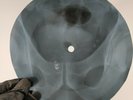 DOORS BACK DOOR MAN X-Ray USSR Record Roentgen Bones Music Vinyl
