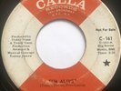 Johnny Thunder 45 Soul Funk Garage Fuzz Pounder Calla Records C161 I’m Alive DJ