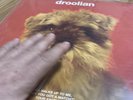Droolian - Free Rocky Erickson - Lp Julian Cope