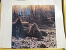 R E M MURMUR LP IRS RECORDS # 70014 HI GLOSS NEAR MINT STERLING  ORIGINAL  INNER