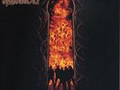 Amon Amarth-ONCE SENT FROM THE GOLDEN HALL VINYL LP NEW