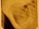 Elvis Presley - I Believe X-RAY OF THE USSR X-RAY BONES RECORDS