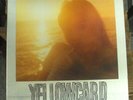 YELLOWCARD Ocean Avenue LP yellow vinyl reissue pop punk Field Day #909/978