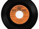 DOO WOP 45 THE DELL VIKINGS COME GO WITH ME ON FEE BEE VG+ LATER PRESS