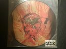 Dismember - Indecent And Obscene Picture Disc on Nuclear Blast 1993 Germany