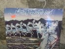 BOX SET 2 LP'S VINYL CAIFANES JOSE JOSE BRONCO MALDITA VECINDAD FACTORY SEALED
