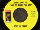 SONS OF SLUM: right on / what does it take to turn you on? Stax 7