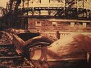 RED HOUSE PAINTERS Red House Painters DOUBLE LP VINYL Europe 4ad 2015 2 LP