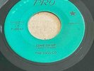 The Gass Co. - Come On Up/First I Look At The Purse * Pro Garage 45 Rare