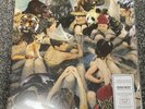 Panda Bear Person Pitch Colored Vinyl Brand New VMP