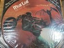 MEAT LOAF BAT OUT OF HELL UK 1977 EPIC LIMITED EDITION LP PICTURE DISC