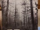THE CURE -A Forest-  UK  (Vinyl Record)