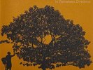In Between Dreams [Vinyl]