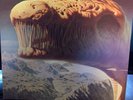 BLUE OYSTER CULT Cultosaurus Erectus VINYL LP Original Issue 1980 EX/VG++