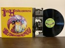 Jimi Hendrix - Are You Experienced - Limited Edition 200 Gram MONO Vinyl LP NM