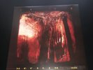 The Nephilim Fields Of The Nephilim PENETRATION MINT 12