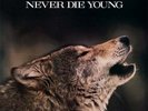 James Taylor - Never Die Young  180 Gram Audiophile Vinyl