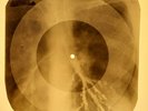 Johnny Cash - Big River X-RAY OF USSR X-RAY BONES RECORDING