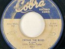 LITTLE WILLIE FOSTER Crying the Blues / Little Girl Cobra Chicago Blues 45 HEAR