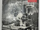 Elliott Smith XO Vinyl LP 180g Plain Recordings Indie Rock