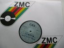 BRUCE SPRINGSTEEN - Chimes of freedom - Rare ZIMBABWE ZMC COMPANY SAMPLER 12