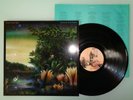 FLEETWOOD MAC-TANGO IN THE NIGHT....SUPERB  1ST UK ISSUE NEAR MINT VINYL LP 1987