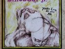 DINOSAUR JR. You're Living All Over Me LP (c) 2011 JAGJAGUWAR Reissue NM Cond.