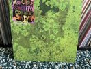 Animal Collective “Water Curses” Vinyl EP (2008, Domino) Original Press VG+/NM