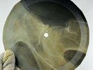 ELVIS HIS LATES FLAME X-Ray USSR Record Roentgen Ribs Bones Music Vinyl