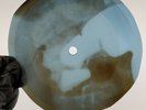 FITZGERALD TAKING A CHANCE X-Ray USSR Record Roentgen Ribs Bones Music Vinyl