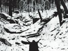 Demoncy Within The Sylvan Realms Of Frost LP  Katharsis Archgoat Forteresse