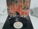 SLAYER - HELL AWAITS - Roadrunner RR 9795 Europe First Press VG +/VG +