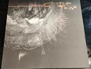 Cocteau Twins TREASURE Vinyl LP Album Punk Rock Music Rare Item
