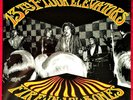 13th Floor Elevators Fire In My Bones Vinyl LP Record Texas Archive SEALED Nice