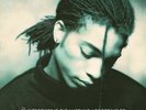 Terence Trent D'Arby - Introducing The Hardline LP - VINYL - Wishing Well Record
