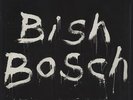 Bish Bosch + Bonus CD - Sealed Scott Walker 2-LP  (Double )