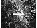 PEKLER, ANDREW - TRISTES TROPIQUES NEW VINYL