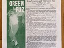 Randy Alvey & The Green Fuz  1960’s  Garage Rock 7” Back from the grave Pebbles